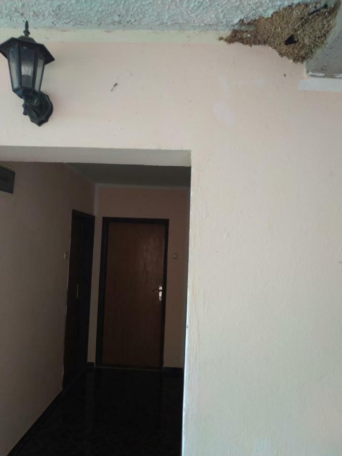 Sunny Hostel Budva Zewnętrze zdjęcie